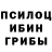Галлюциногенные грибы ЛСД Randy Newnum